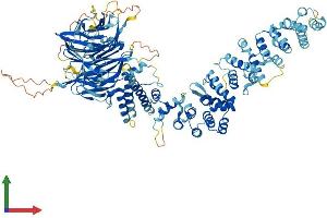 Protein Structure (PS) image for Hermansky-Pudlak Syndrome 3 (HPS3) (AA 1-1004) protein (His tag) (ABIN7554124)