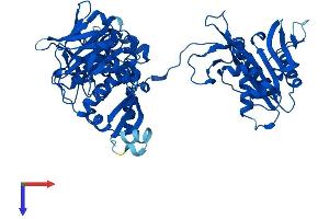FARSB Protein (AA 1-589) (His tag)
