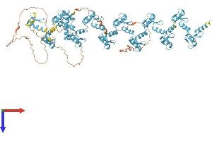 AlphaFold protein structure predicition of Human Recombinant ZNF268 Protein, UniprotID Q14587