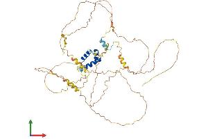 AlphaFold protein structure predicition of Human Recombinant IRX4 Protein, UniprotID P78413