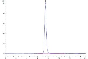Size-exclusion chromatography-High Pressure Liquid Chromatography (SEC-HPLC) image for Plexin A1 (PLXNA1) (AA 27-1244) protein (His tag) (ABIN7275470)