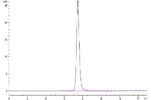 The purity of Human PLXNA1 is greater than 95 % as determined by SEC-HPLC. (Plexin A1 Protein (PLXNA1) (AA 27-1244) (His tag))