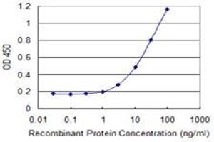 Detection limit for recombinant GST tagged PCSK2 is 0. (PCSK2 Antikörper  (AA 501-609))