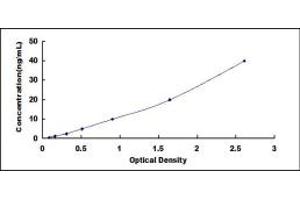 Typical standard curve (IFNAR2 ELISA Kit)
