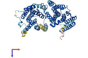 RFT1 Protein (AA 1-541) (His tag)