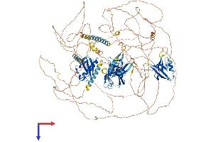 PARD3 Protein (AA 1-1356) (His tag)