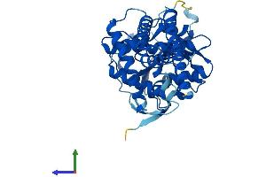 Protein Structure (PS) image for UDP-Glucose Ceramide Glucosyltransferase (UGCG) (AA 1-394) protein (His tag) (ABIN7562650)
