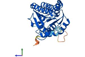 AlphaFold protein structure predicition of Human Recombinant HSD17B8 Protein, UniprotID Q92506