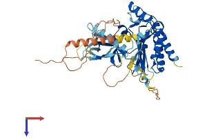 IP6K2 Protein (AA 1-448) (His tag)