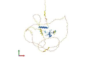 AlphaFold protein structure predicition of Mouse Recombinant Phf23 Protein, UniprotID Q8BSN5