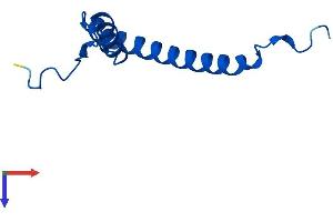 MRPS21 Protein (AA 1-87) (His tag)