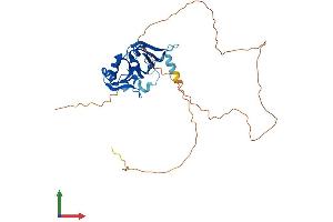 Protein Structure (PS) image for Heterogeneous Nuclear Ribonucleoprotein A2/B1 (HNRNPA2B1) (AA 1-353) protein (His tag) (ABIN7562631)