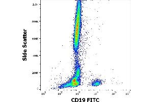Flow cytometry surface staining pattern of human peripheral whole blood stained using anti-human CD19 (4G7) FITC antibody (20 μL reagent / 100 μL of peripheral whole blood). (CD19 Antikörper  (FITC))
