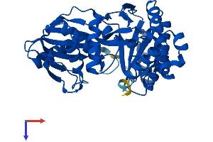 GALK1 Protein (AA 1-392) (His tag)