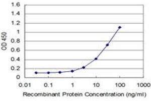 Detection limit for recombinant GST tagged EN1 is approximately 1ng/ml as a capture antibody. (EN1 Antikörper  (AA 266-392))