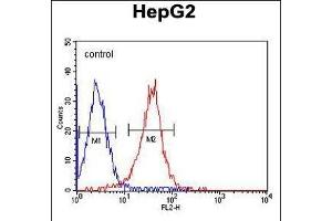 ALDH2 Monoclonal Antibody (ABIN658993 and ABIN2838036) flow cytometric analysis of HepG2 cells (right histogram) compared to a negative control cell (left histogram). (ALDH2 Antikörper)