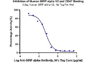 Binding Studies (Bind) image for SIRP AlphaV2 protein (His tag) (ABIN7275653)