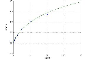 Proliferation-Associated 2G4, 38kDa (PA2G4) ELISA Kit