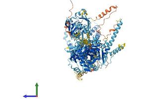 Protein Structure (PS) image for ATPase, Class I, Type 8B, Member 1 (ATP8B1) (AA 1-1251) protein (His tag) (ABIN7563630)