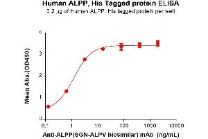 ELISA image for Placental Alkaline Phosphatase (ALPP) (AA 23-505) protein (His tag) (ABIN7491369)