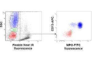 Two-day-old whole blood was lysed with ammonium chloride. (FIX&PERM® Kit 1000)