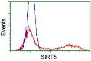 Flow Cytometry (FACS) image for anti-Sirtuin 5 (SIRT5) antibody (ABIN1500935) (SIRT5 Antikörper)