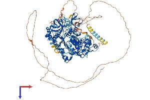 DNMT3A Protein (AA 1-912) (His tag)