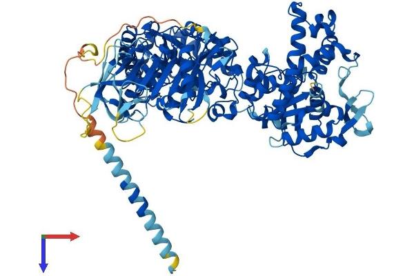 NDST3 Protein (AA 1-873) (His tag)
