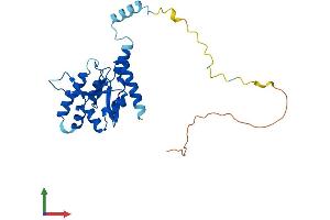 AlphaFold protein structure predicition of Human Recombinant UTP23 Protein, UniprotID Q9BRU9