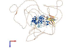 SUV420H1 Protein (AA 1-883) (His tag)