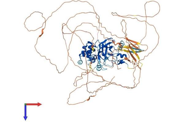 SUV420H1 Protein (AA 1-883) (His tag)