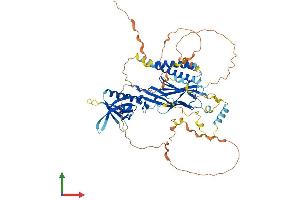 Protein Structure (PS) image for Rhotekin 2 (RTKN2) (AA 1-609) protein (His tag) (ABIN7551579)