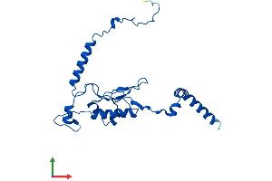 Protein Structure (PS) image for Ribosomal Protein L13 (RPL13) (AA 1-211) protein (His tag) (ABIN7563301)