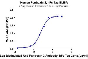 Immobilized Human Pentraxin 2, hFc Tag at 1 μg/mL (100 μL/Well) on the plate. (APCS Protein (AA 20-223) (Fc Tag))