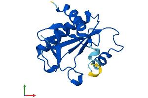 Protein Structure (PS) image for Fragile Histidine Triad (FHIT) (AA 1-150) protein (His tag) (ABIN7562713)