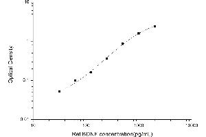 Brain-Derived Neurotrophic Factor (BDNF) ELISA Kit