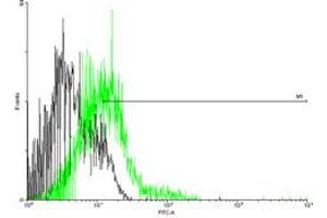 FACS analysis of negative control 293 cells (Black) and CCBP2 expressing 293 cells (Green) using CCBP2 purified MaxPab mouse polyclonal antibody. (CCBP2 Antikörper  (AA 1-384))