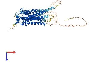 S1PR5 Protein (AA 1-398) (His tag)