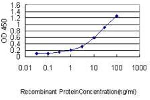 ELISA image for anti-Cut-Like Homeobox 1 (CUX1) (AA 521-620) antibody (ABIN560539)