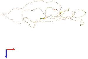 CHTF8 Protein (AA 1-524) (His tag)