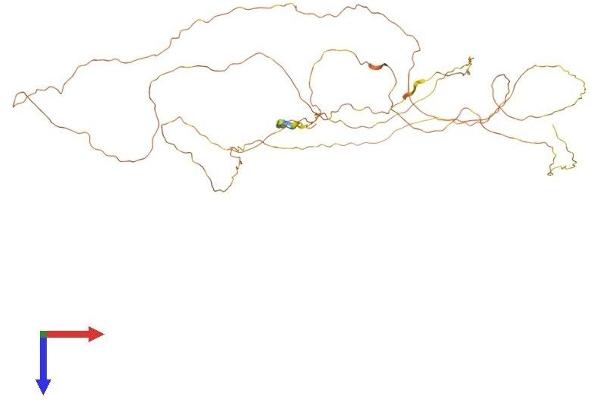 CHTF8 Protein (AA 1-524) (His tag)
