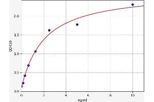 CD28 ELISA Kit