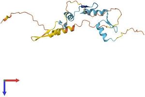 ZNF740 Protein (AA 1-193) (His tag)