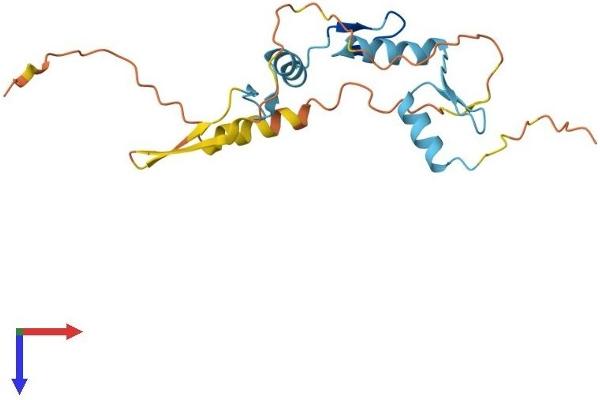ZNF740 Protein (AA 1-193) (His tag)