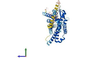 Protein Structure (PS) image for Formyl Peptide Receptor 1 (FPR1) (AA 1-364) protein (His tag) (ABIN7563148)