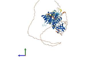 Protein Structure (PS) image for Interleukin-1 Receptor-Associated Kinase 3 (IRAK3) (AA 1-609) protein (His tag) (ABIN7559567)