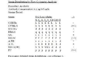 Image no. 2 for anti-MHC Class I H-2KdDd antibody (FITC) (ABIN953424) (MHC Class I H-2KdDd Antikörper (FITC))