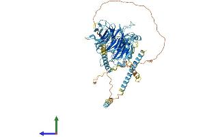 Protein Structure (PS) image for Dynein, Cytoplasmic 1, Intermediate Chain 1 (DYNC1I1) (AA 1-645) protein (His tag) (ABIN7553618)