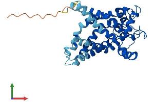 AlphaFold protein structure predicition of Human Recombinant SLC25A31 Protein, UniprotID Q9H0C2