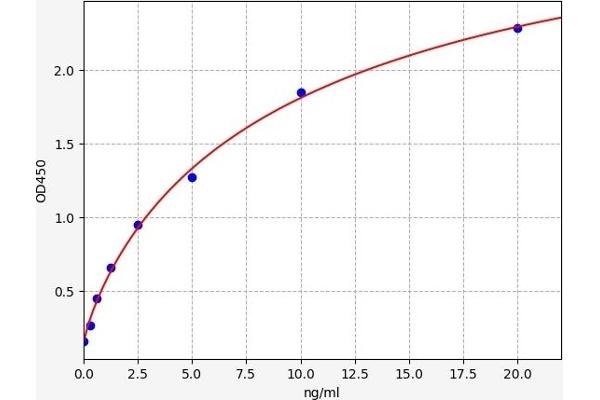 NMDAR2A ELISA Kit